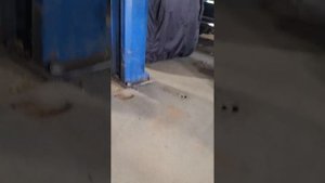 замена стоек и втулок заднего стабилизатора, ssangyong new ac