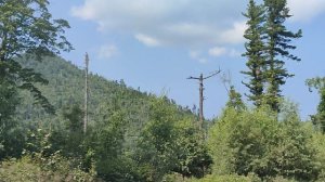 Идем на Восток! Таежная дорога. Приморье.