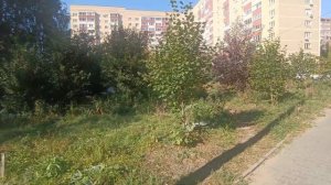 Продажа участка в г. Мытищи М.О. под Магазин