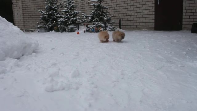 Марьяна и Марго смотреть онлайн