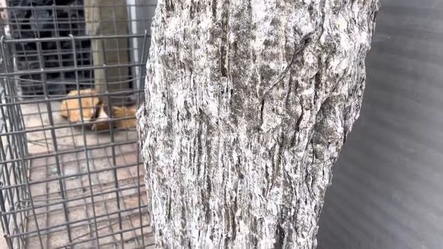 Стела сланец 90кг смотреть онлайн