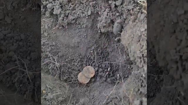 поиск с металлоискателем vanquish 540/золото партии #кладои смотреть онлайн