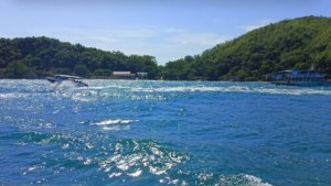 РЕЛАКС .МОРЕ, ВОЛНЫ И ДОЖДЬ