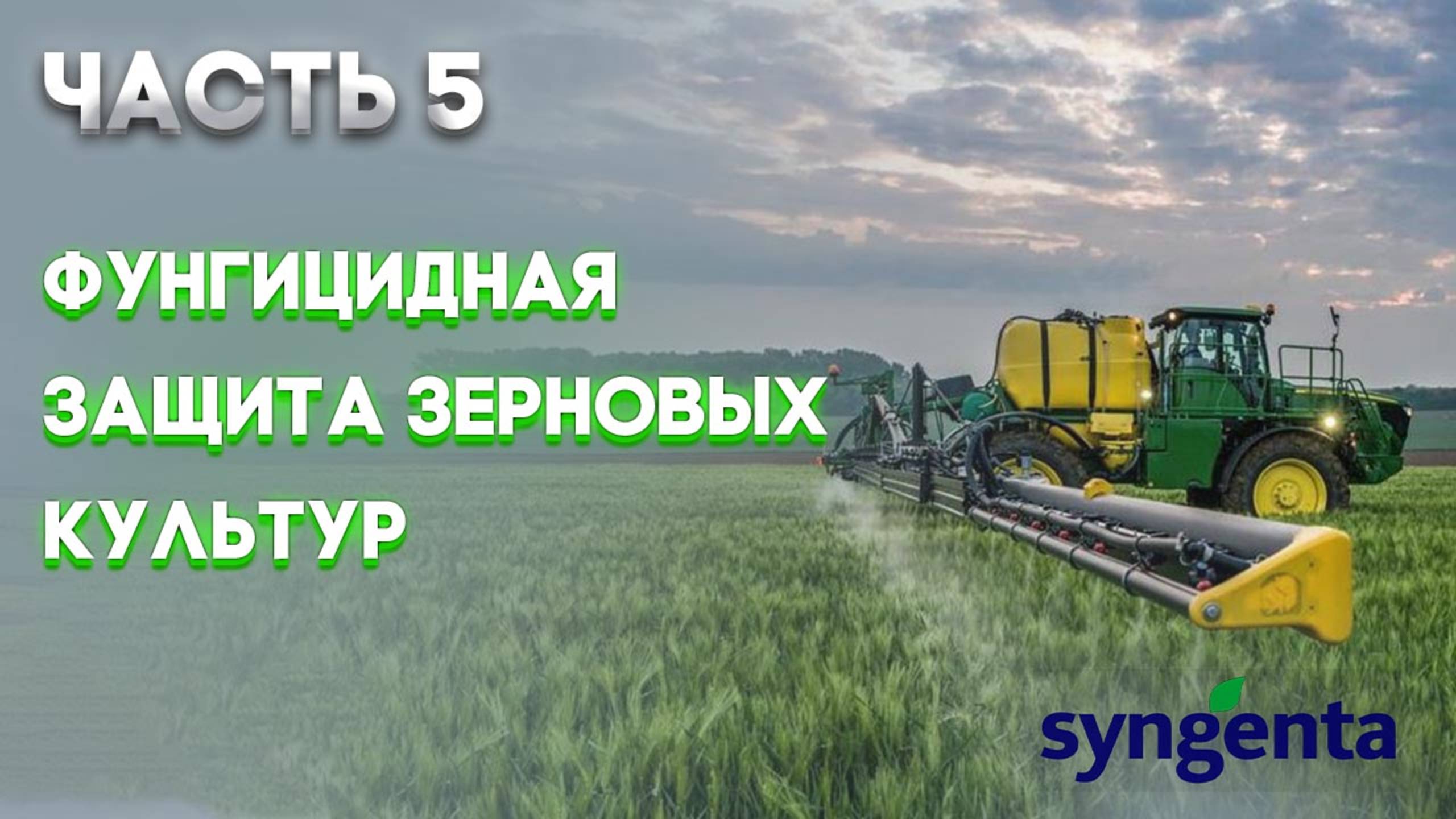 | ЗЕРНОВЫЕ  Часть 5 | Защита посевов зерновых культур от болезней | SYNGENTA |