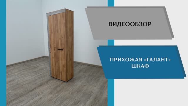 ТЭКС Видео обзор. Прихожая Галант. Шкаф.