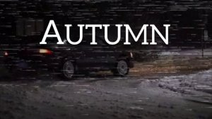 XLXR - Autumn
