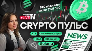 КриптоПульс на Трейдер ТВ