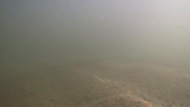 ...Каждый мой заныр может быть последним... смотреть онлайн