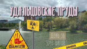 УДАЛЬЦОВСКИЕ ПРУДЫ: не повторяйте мою ошибку! 36 день. 3797 шагов