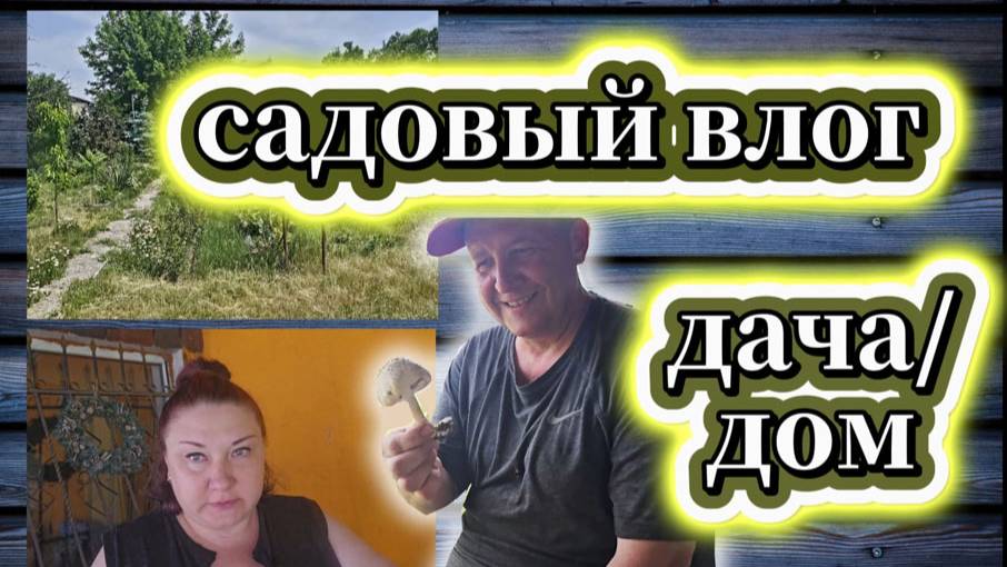 80-25! САДОВЫЙ ВЛОГ/ЕЛЕ ПРИЕХАЛИ НА ДАЧУ/ПОПАЛИ НА ДЕНЬГИ/МОИ ДЕЛА/ЗАНИМАЮСЬ КЛУМБОЙ 🍃