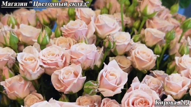 Сеть магазинов | Цветочный склад | Краснодар (9)