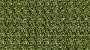 Колесо обозрения стереокартинок