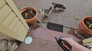🔥ТЕСТИРУЮ ОПРЫСКИВАТЕЛЬ ИЗ ЧИЖИКА🔥МОЖНО ОБРАБОТАТЬ ОТ КЛЕЩЕЙ, СОРНЯКОВ, УДОБРЯТЬ РАСТЕНИЯ🔥