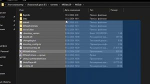 как разблокировать консоль в MiSide?