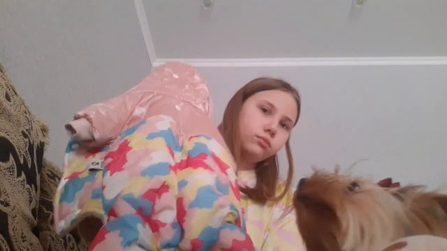 зачем нужна одежда для йорка?Какую одежду надо будет п смотреть онлайн