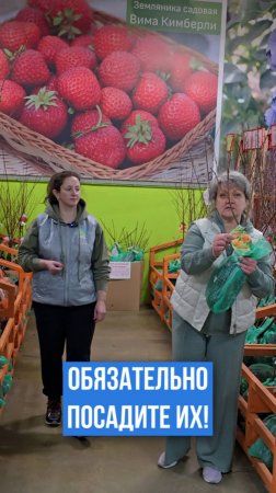 Обязательно посадите эти персики и нектарины в саду!