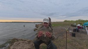 Поклёвка крупного карася.