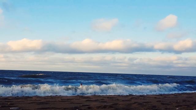 Лиепая.27 января 2018. смотреть онлайн