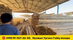 УРГАНЧ ТАХТА, ОГОЧ, СТРАПИЛА НАРХЛАРИ | URGANCH TAXTA BOZORI