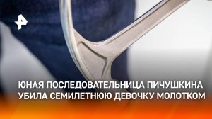 “Начала колотить, много раз ударила” —14-летняя девочка забила молотком 7-летнюю в Бердянске / РЕН