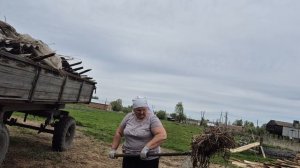 загрузили полную телегу
