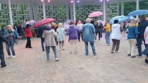 Николай, Николай.... 18.05.25.