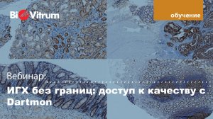ИГХ без границ доступ к качеству с Dartmon