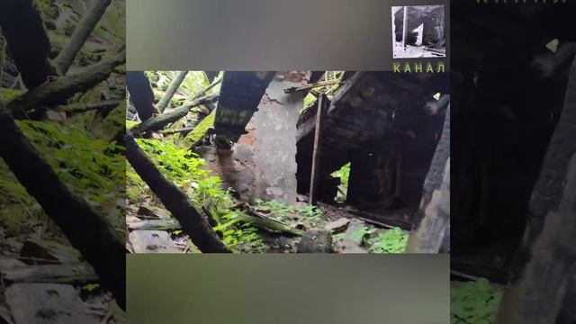 Заброшенное образовательное заведение смотреть онлайн