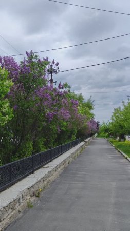 Касли в День пионерии