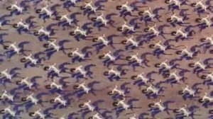 Сказание про Игорев поход 1972