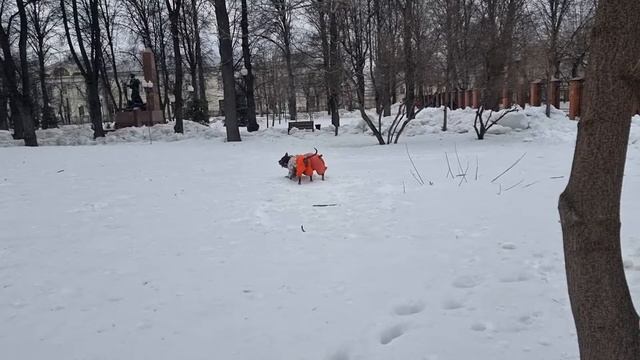 Ох закрутилась карусель