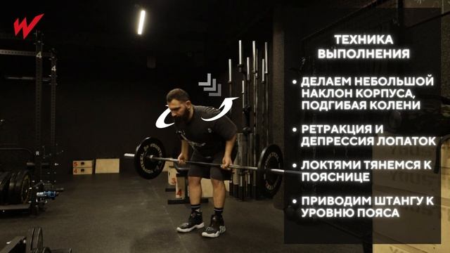 Тяга штанги к поясу  Тренировка спины