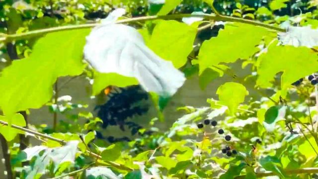 моЯ Супер МОДЕЛЬ, прилетела на подиум …💫 смотреть онлайн