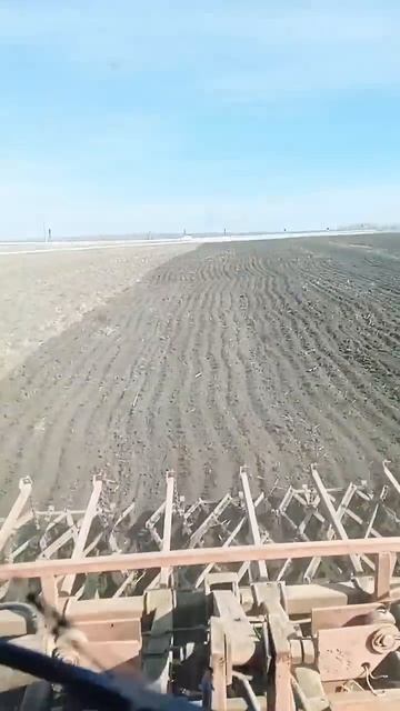 мтз2022.культиватор#пахота#работа#поле#трактор# смотреть онлайн