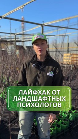 Создаем уютный уголок: ландшафтный секрет для вашего сада 🌱
