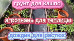 Дождь дачнику не помеха, все идет по плану