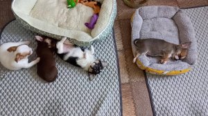 УТРО ПОНЕДЕЛЬНИКА. ВСЕМ У КОГО ОНО НЕ ТАКОЕ, ХОРОШЕГО ДНЯ И УДАЧИ !)