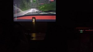 Dirt Rally Driving Force GT