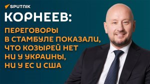 Корнеев: переговоры в Стамбуле показали провал стратегии запада против РФ