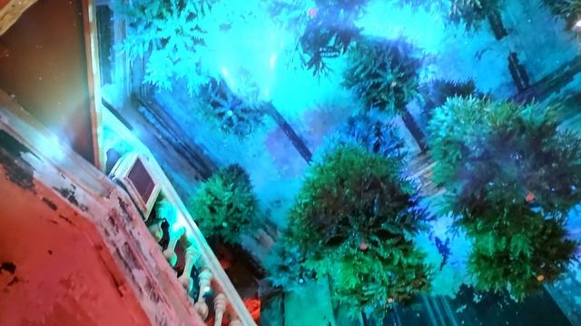 VerAeternum -  Дед Мороз из старой коробки©. Официальное муз?