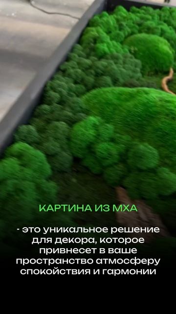 Картина из мха разной фактуры
