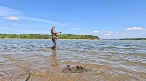 Береговой спиннинг. Отводной поводок. Окунь. Рыбалка по разным местам НСО