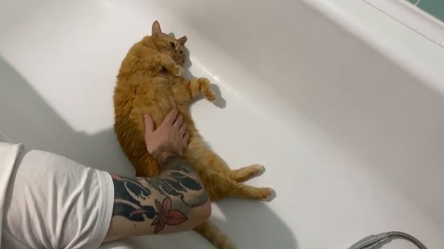 VLOG: НОВЫЙ ГОД 2025. Еда, подарки, елка смотреть онлайн