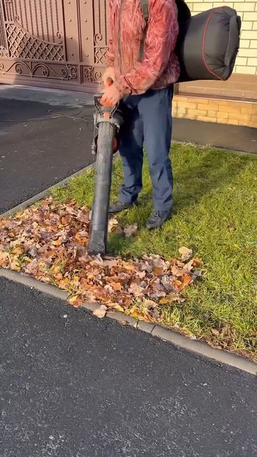 Уборка листвы воздуходувкой-пылесосом #свойдом #возду смотреть онлайн