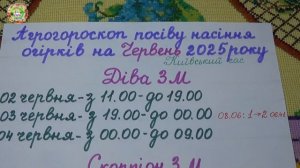 Не пропусти идеальные дни для посадки огурцов в июне 2025!