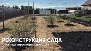 Реконструкция сада: отсыпка и посадки