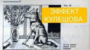ЭФФЕКТ КУЛЕШОВА в неожиданном исполнении