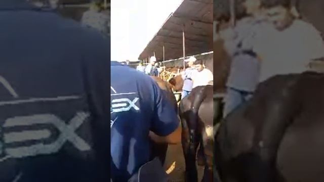   в прямом эфире!MOLBOZOR BOZOR МОЛБОЗОРИ ХУЧАНД ХУДЖАНД к