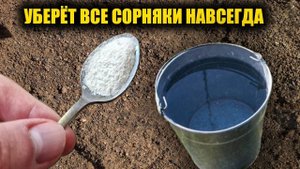 Любые сорняки исчезнут за 1 минуту навсегда! Рабочий способ как избавиться от сорняков без хлопот