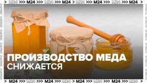 Производство меда в России может снизиться на 20% в 2025 году - Москва 24